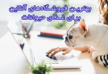 بهترین فروشگاه‌های آنلاین برای غذای حیوانات، کجا غذای حیوان خانگی‌تان را با بهترین قیمت بخرید؟