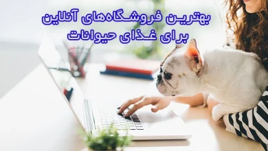 بهترین فروشگاه‌های آنلاین برای غذای حیوانات، کجا غذای حیوان خانگی‌تان را با بهترین قیمت بخرید؟