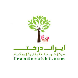کد تخفیف ایران درخت