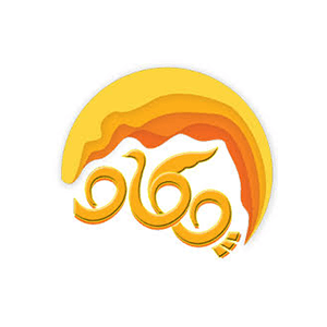 کد تخفیف چکاو